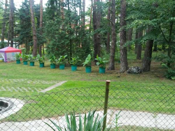 Domek Letniskowy i Pokoje Gościnne u Basi - Mistrz Agro 2019