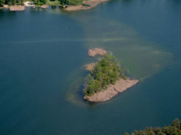 Wyspa na jeziorze Białym. Mielizna widoczna na zdjęciu w sąsiedztwie działki Agrokomfort