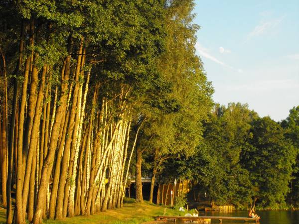 Linia brzegowa jeziora