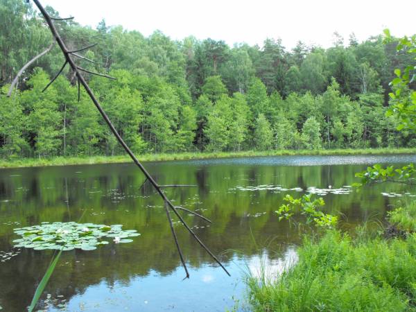 Jezioro Studzieniczna