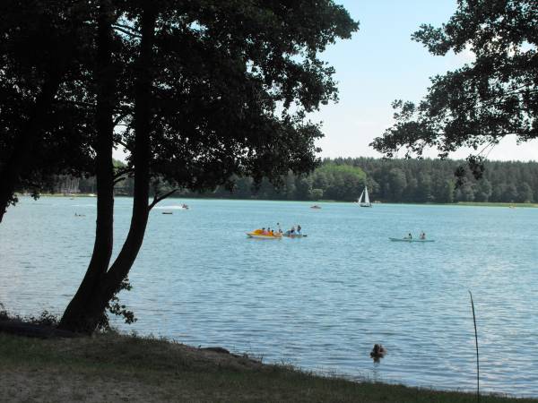 Brzeg jeziora Białego