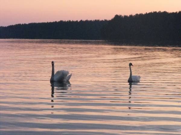 Wieczorny widok z pomostu w ośrodku Agrawit
