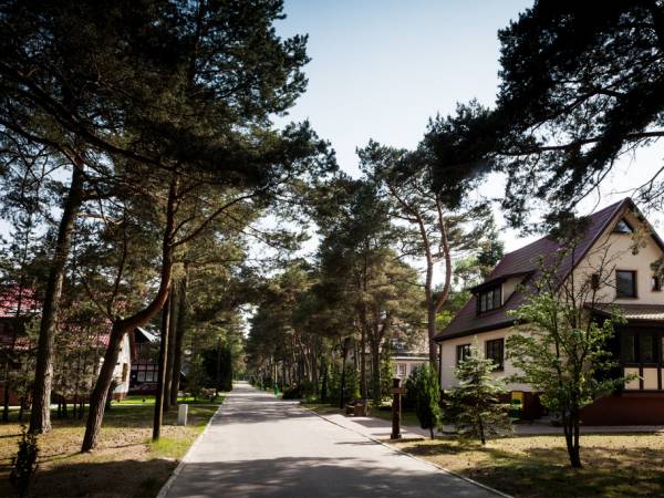 Główna droga od wjazdu