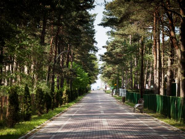 Droga w kierunku plaży