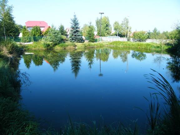 W naszym gospodarstwie możecie wypoczywać nad niosącym ochłodę stawem lub też wypróboać swe umiejętności wędkarskie