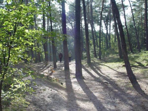 Jantar przejście na plażę
