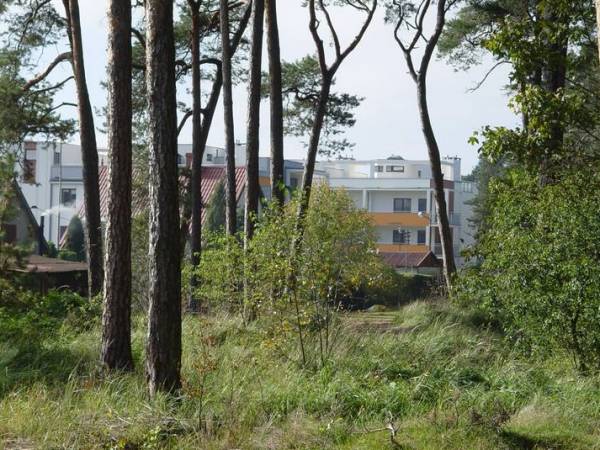 Jantar, Osiedle Bursztynowe od strony lasu