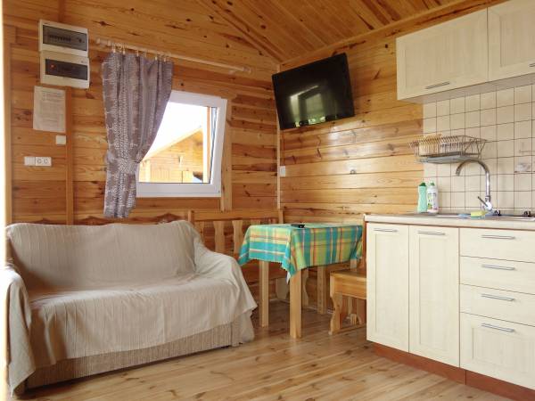 Salon widok na kuchnię i rozsuwaną kanapę