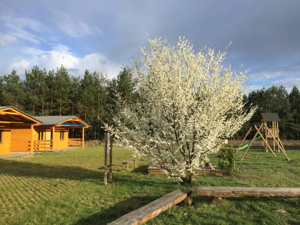 Domki Letniskowe w Anaju