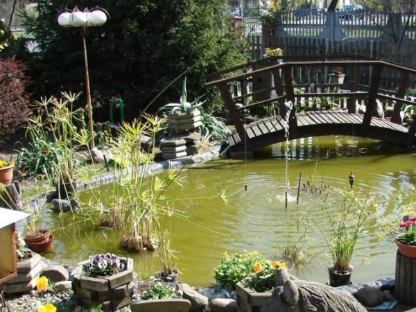 Agroturystyka Staś Halina Galus