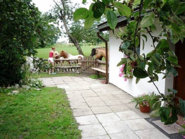 Gospodarstwo Agroturystyczne Herman