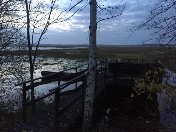 POMOŚCIK DO OBSERWACJI