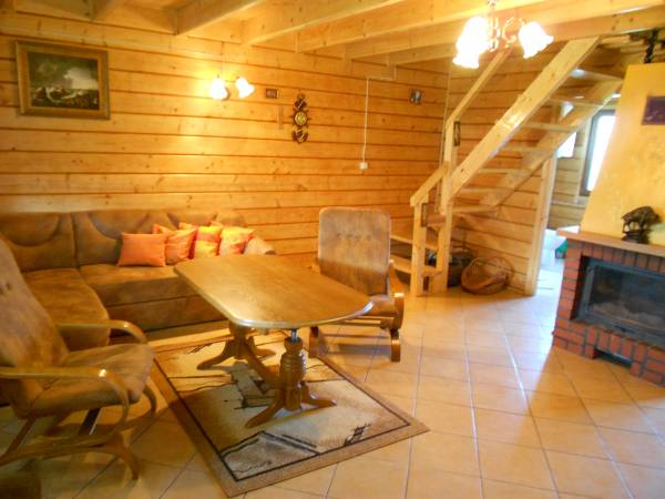 salon z kominkiem , TV i DVD.