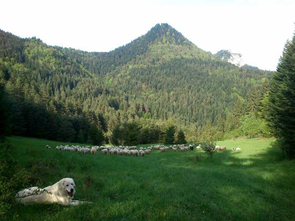 Gospodarstwo Agroturystyczne U Bacy