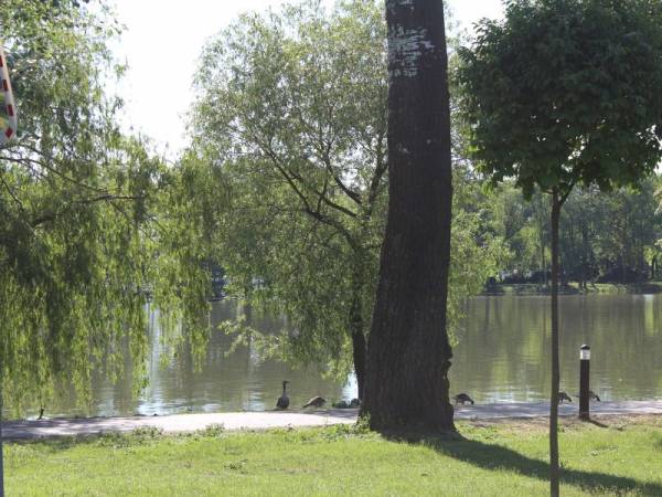 Domki Letniskowe Nadgoplańska