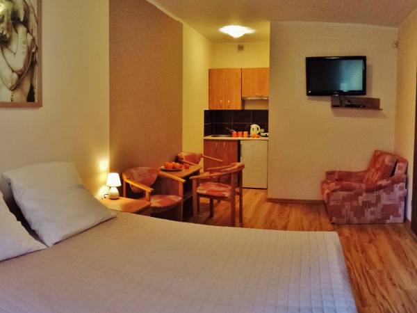 Pokój 3 osobowy widok na aneks kuchenny