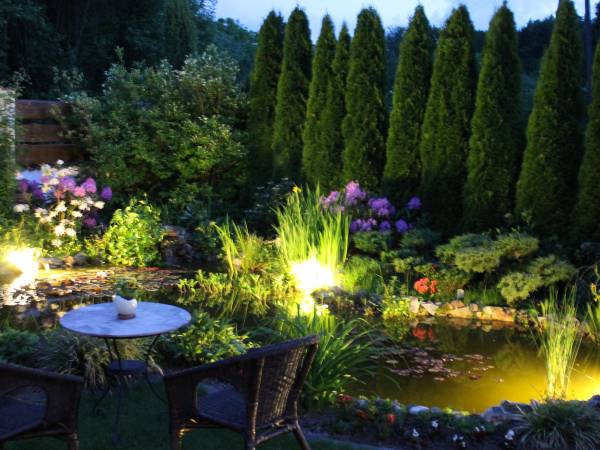 wieczór przy oczku wodnym