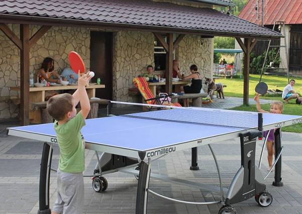 ping-pong