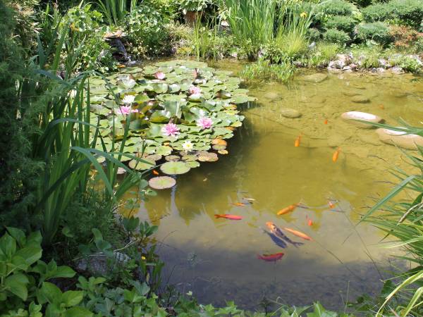 Agroturystyka Urocze Siedlisko