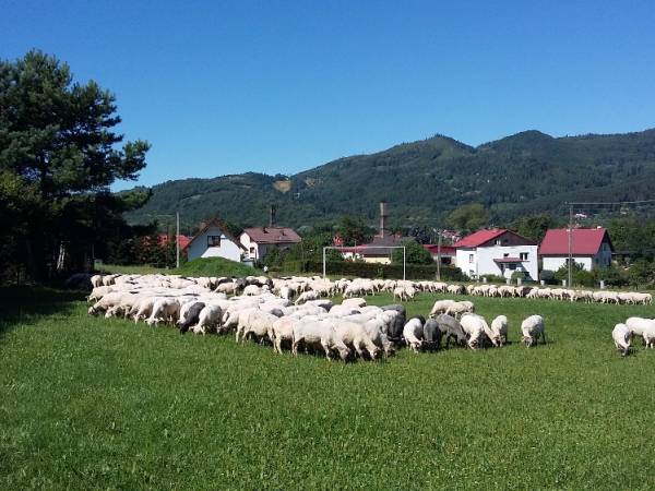 Dom Wczasowy Na Bukowinie