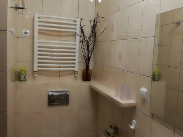 Łazienka w pokoju 2 -3 osobowym w oddzielnym domku z WC i prysznicem