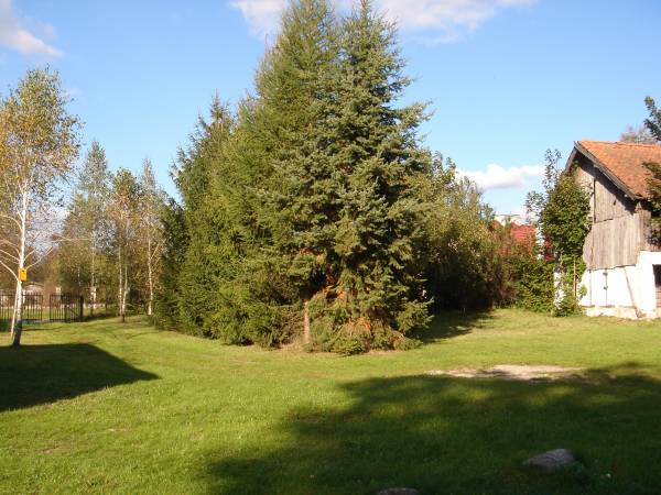 Działka ponad 2000 m2