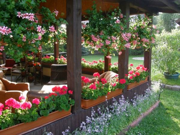 Widok na zadaszony taras z wyjściem na ogród