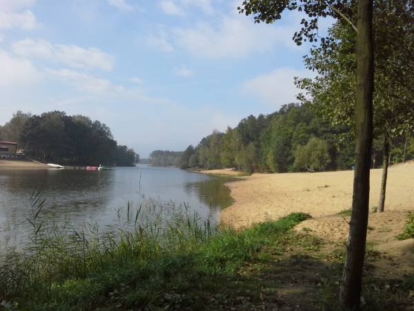 Venus Domki Holenderskie