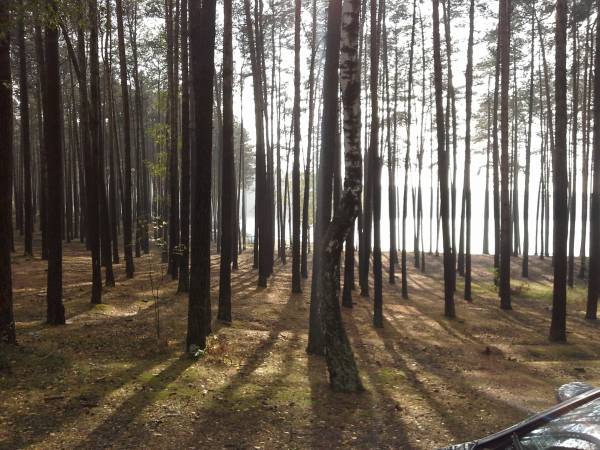 Venus Domki Holenderskie