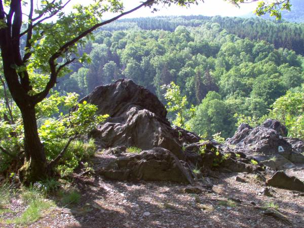 Widok na góry w Jarnołtówku (10 minut piechotką od Domku Żabie Oczko)..
