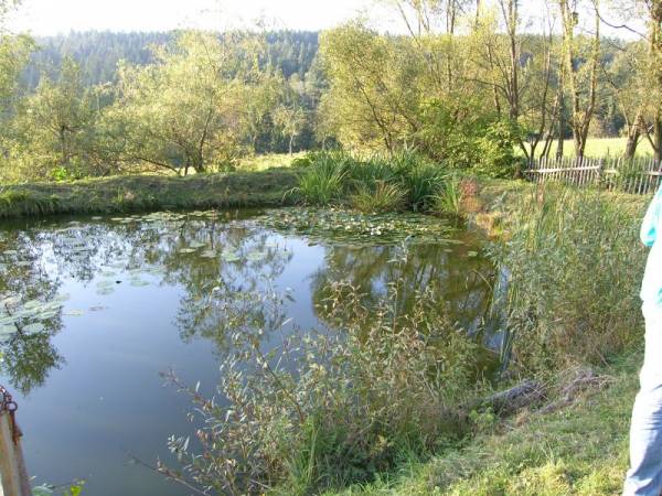 Łowisko ,,Rybny raj". Przyjedź nie zwlekaj! Ryby na ciebie czekają!