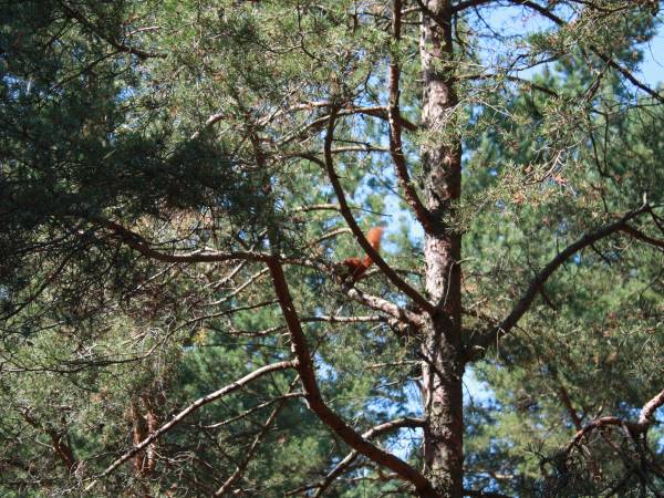 Ośrodek Wczasowy Befared