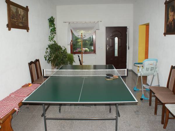 tenis stołowy na dole