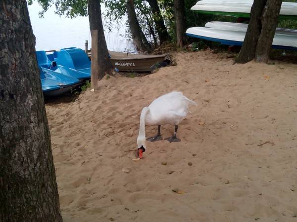 Agroturystyka u Macieja