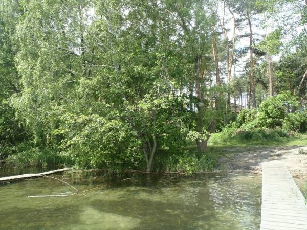 Domki Zosia Janek Franek