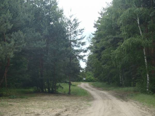 Domki Zosia Janek Franek