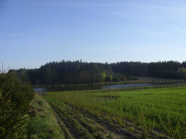 Niepowtarzalny widok na zalew oraz las. Spokojna aura pozwana odpocząć wśród zieleni naszej okolicy.