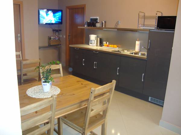 część wspólna z tv i w pełni wyposażoną kuchnią