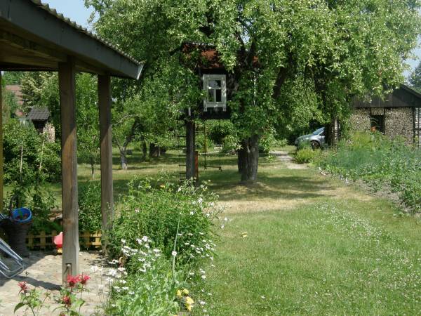 sad i ogród przy domku