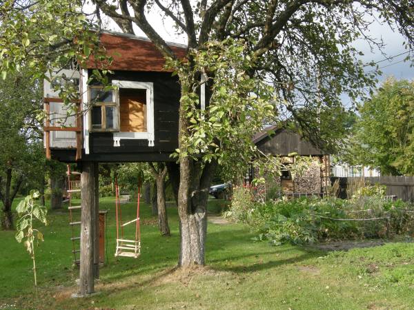 domek na drzewie