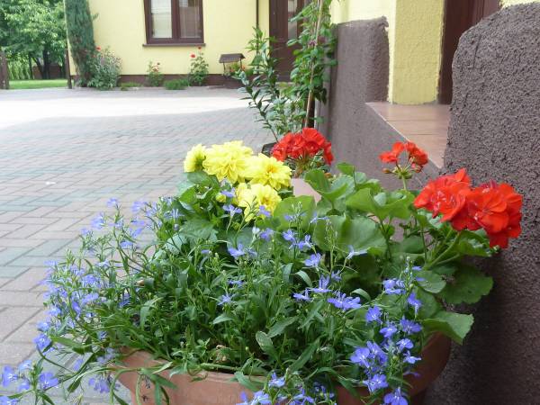 Dbamy o wygląd otoczenia:)