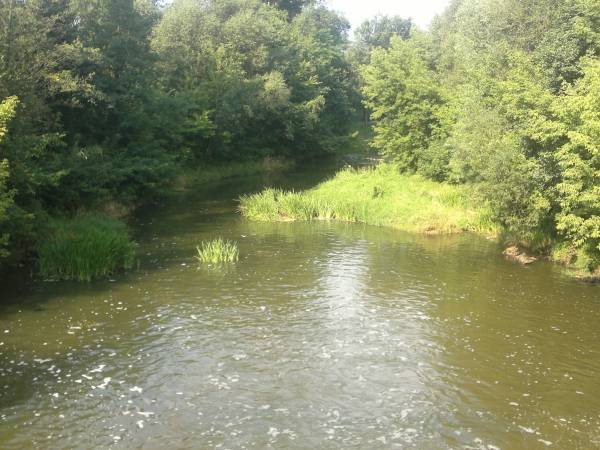 Noclegi & Agroturystyka