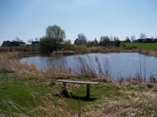 Nasz stawek z rybami dla gości.