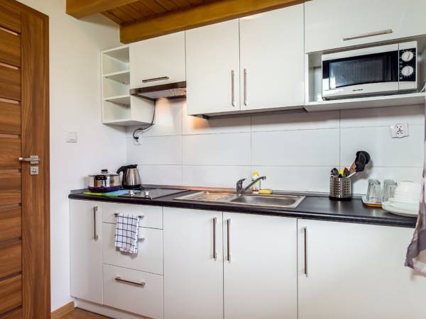 Domek drewniany- aneks kuchenny