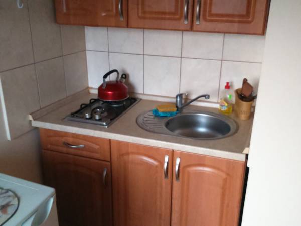 Kuchnia w apartamencie