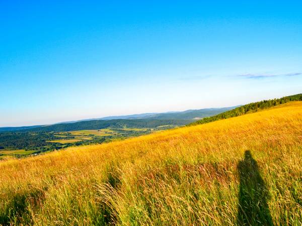 A tutaj widok z górki pod którą znajduje się gospodarstwo