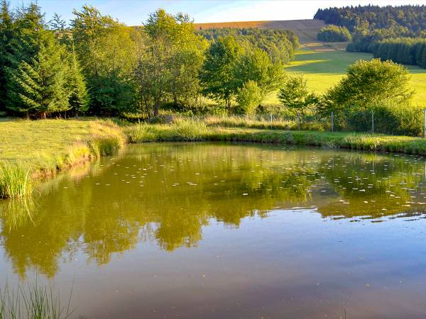 Staw w gospodarstwie 