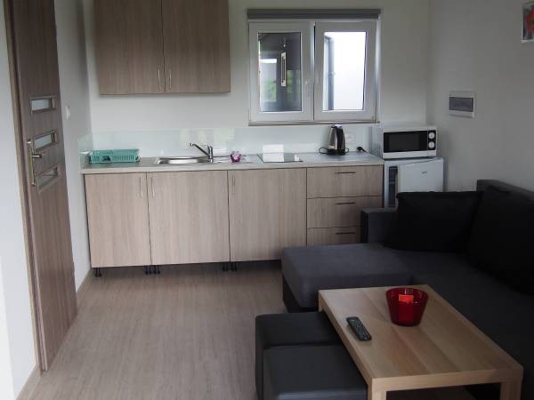 Pokój pierwszy wraz z aneksem kuchennym