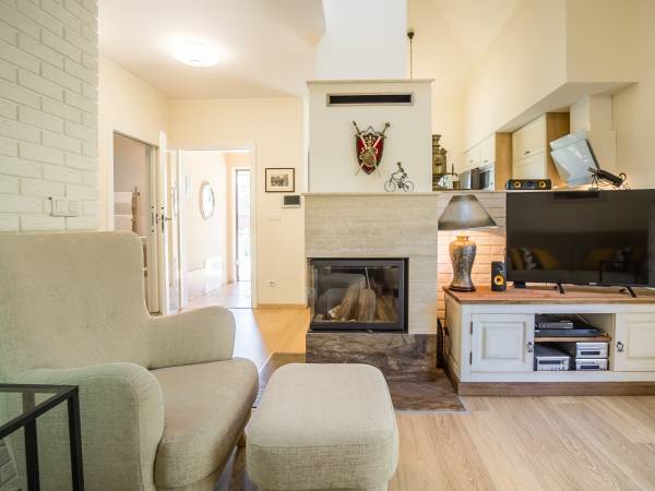 Salon z kominkiem w domu jednorodzinnym