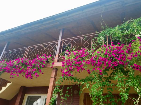 pokoje w oddzielnym budynku